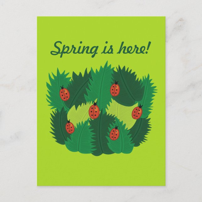 Grüne Blätter und Ladybugs Frühling ist hier Postkarte (Vorderseite)
