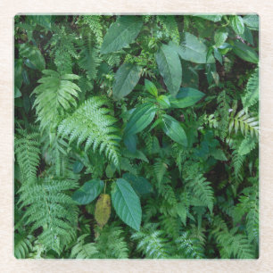 Grüne Blattfarbe Glasuntersetzer