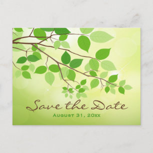 Grüne Blattzweige Save the Date Postkarte