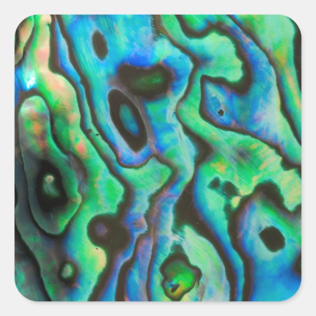 Grüne blaue pauschale Muschel Quadratischer Aufkleber (Vorderseite)