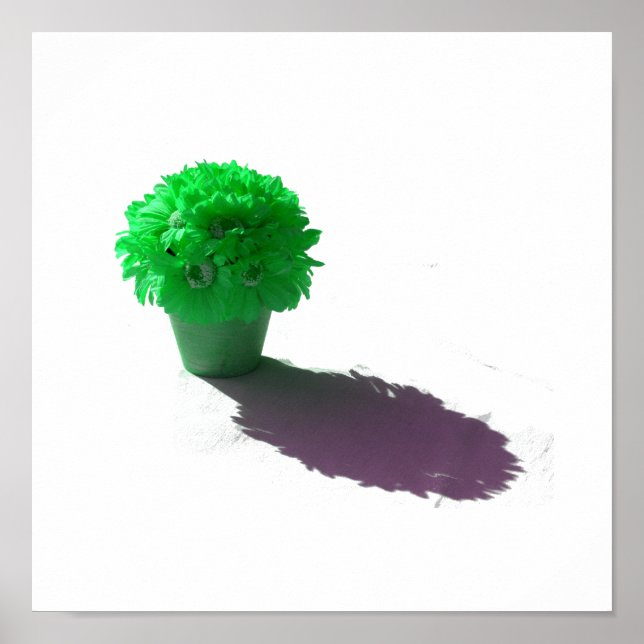 Grüne Blume Weißeisen und Schatten Poster (Vorne)