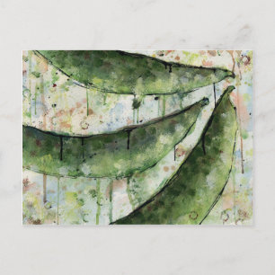 Grüne Bohnen drei Postkarte