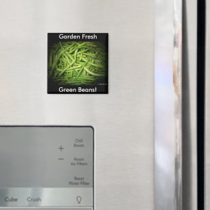 Grüne Bohnen in Spotlight Magnet