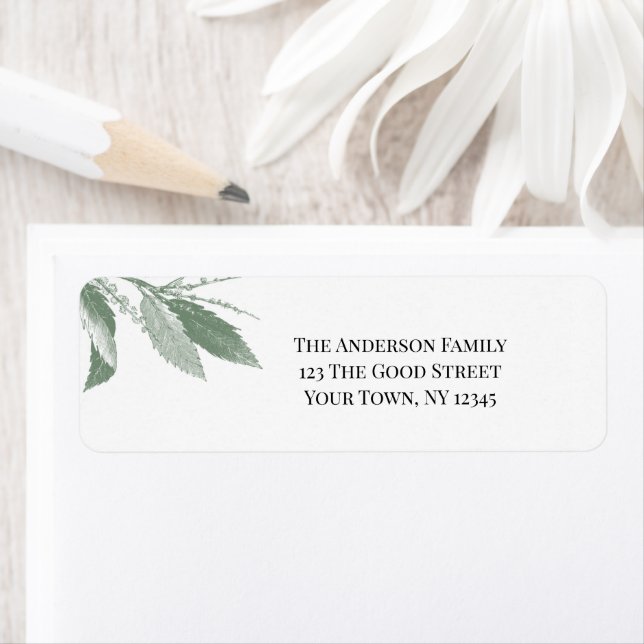 Grüne botanische Blätter (Insitu)