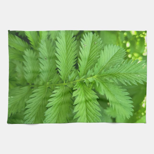 Grüne botanische Blätter Küchentuch (Horizontal)