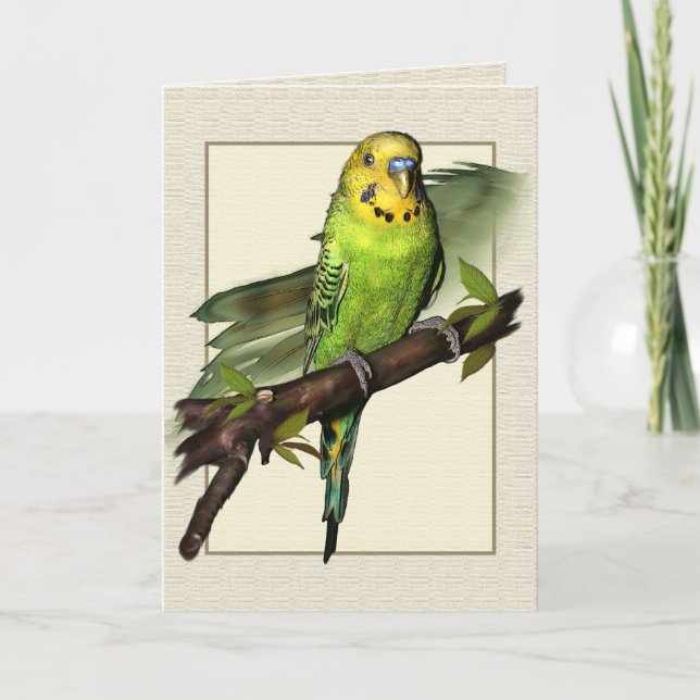 Grüne Budgie Kunst-Gruß-Karte Karte (Vorderseite)