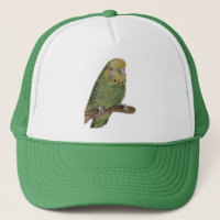 grüne budgie Kunstkappe