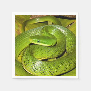 Grüne Bush-Ratten-Schlange Serviette