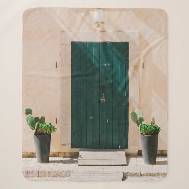 GRÜNE CACTUS-PFLANZE IN DER NÄHE DER GRÜNEN TÜR SHERPADECKE (Vorderseite)