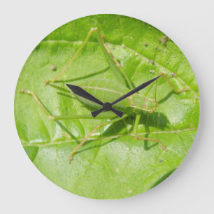 Grüne Cricket-Camouflage-Wall-Uhr Große Wanduhr