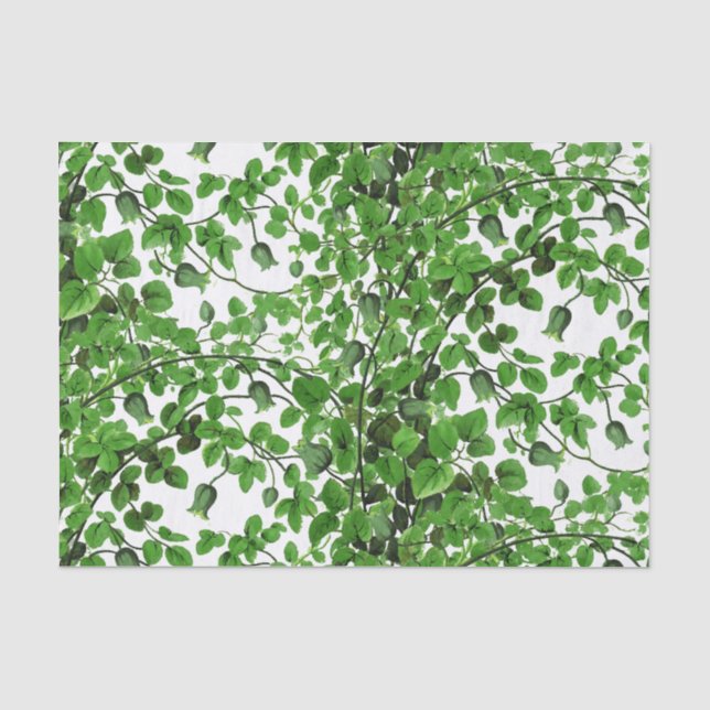 Grüne Efeu-Rebe botanisch Seidenpapier (Vorderseite)
