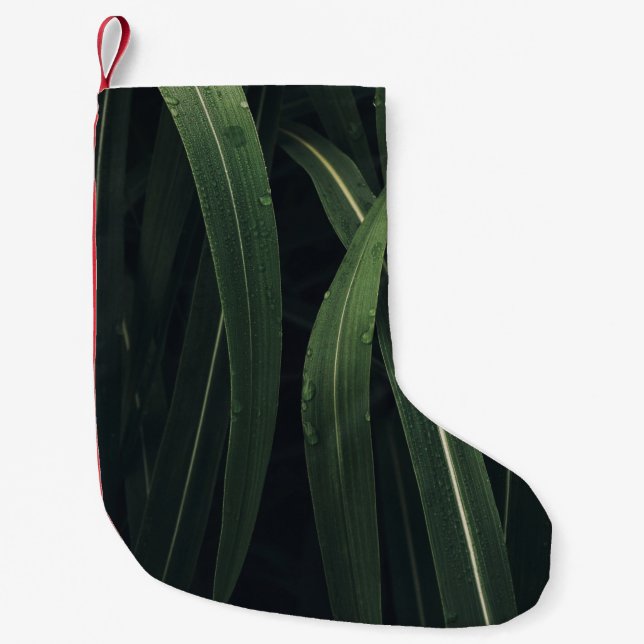 GRÜNE/EFÜHRTE PFLANZE KLEINER WEIHNACHTSSTRUMPF (Vorderseite)