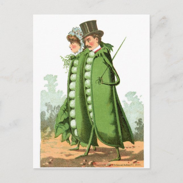 Grüne Erbsen Vintage Lebensmittel und Kunst Postkarte (Vorderseite)