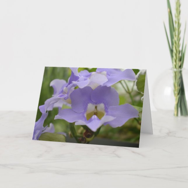 Grüne Erde Karte (Vorderseite)