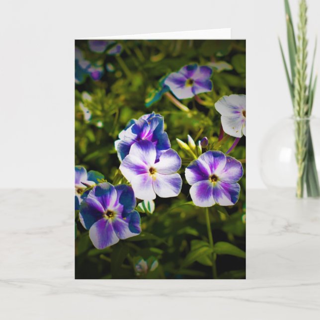 Grüne Erde, Karte (Vorderseite)