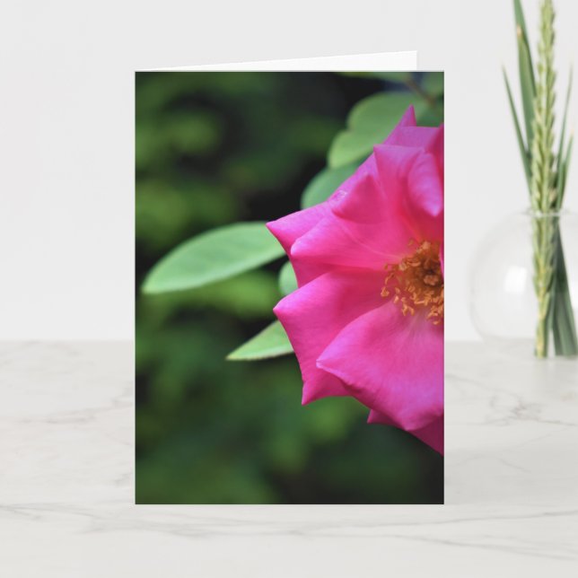 Grüne Erde, Karte (Vorderseite)