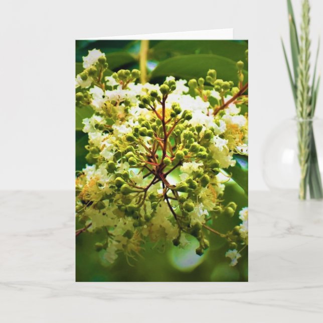 Grüne Erde, Karte (Vorderseite)