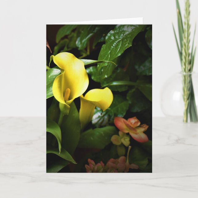 Grüne Erde, Karte (Vorderseite)