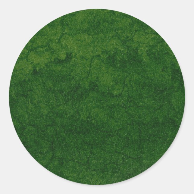 Grüne Erde Runder Aufkleber (Vorderseite)
