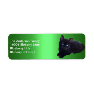 Grüne Etikett-Rücksendeadresse Schwarze Katze