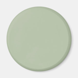 Grüne Farbe der hellen Seite Magnet