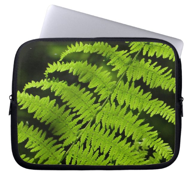 Grüne Farn Laptopschutzhülle (Vorderseite)