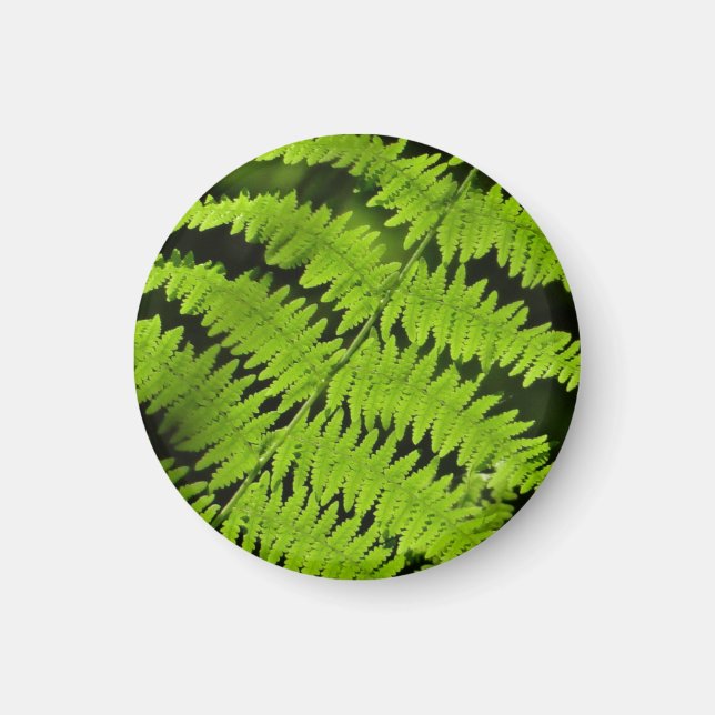 Grüne Farn Magnet (Vorne)