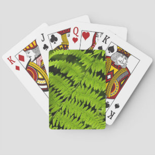 Grüne Farn Spielkarten