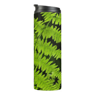 Grüne Farn Thermosbecher