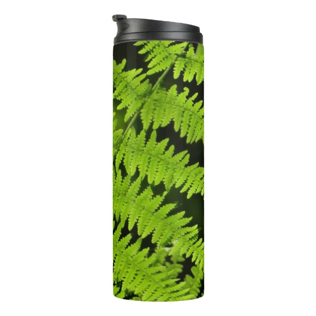Grüne Farn Thermosbecher (Nach rechts gedreht)