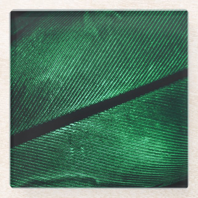 Grüne Feder, schöne Muster Textur. Glasuntersetzer (Vorderseite)
