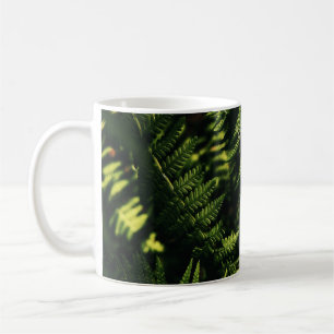 GRÜNE FERN PFLANZE IN NAH-OBEN-FOTOGRAFIE KAFFEETASSE