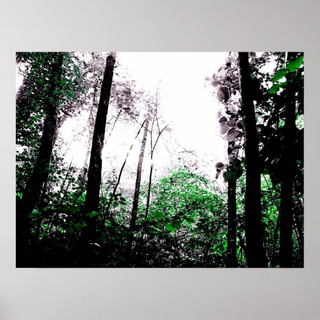 Grüne Flächen Poster (Vorne)