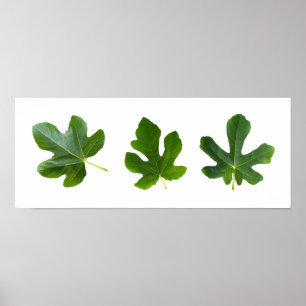 Grüne Flaschen, dicht abgeschieden auf weißem Hint Poster