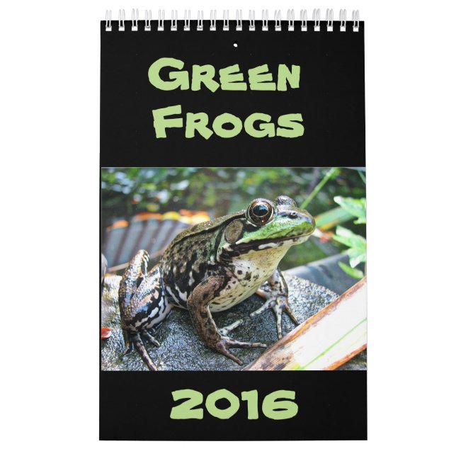 Grüne Frosch-Kalender 2016 Kalender (Titelbild)
