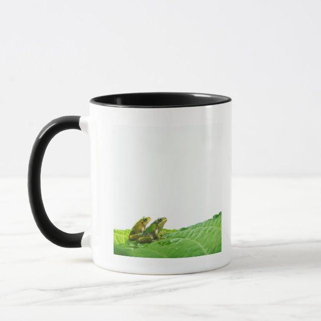 Grüne Frösche auf verlassene Tasse (Links)