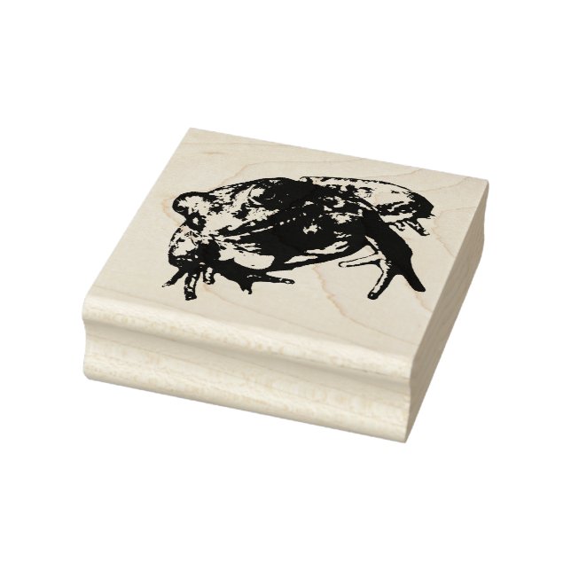 Grüne Froschkautschuk-Briefmarke Gummistempel (Stempel)
