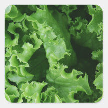 Grüne Frucht von pflanzlichen Lebensmitteln