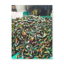 Grüne geklebte Mussels für den Verkauf von Magnetk