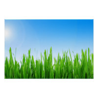 Grüne Gras Blaue Himmel Landschaft-10826