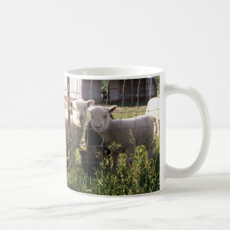 Grüne Gras? Kaffeetasse