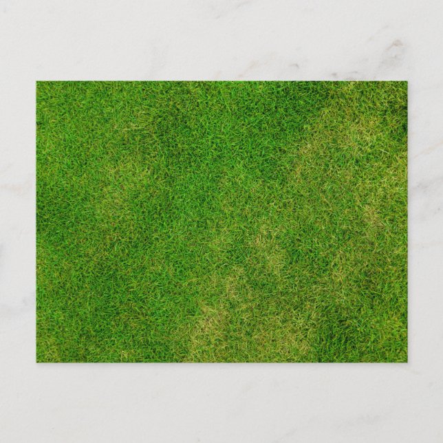 Grüne Gras Textur Postkarte (Vorderseite)