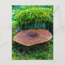 Grüne Graslandschaft von Morrel Postkarte