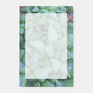 Grüne Haworthia Aufkleber für die Pflanze Post-it Klebezettel