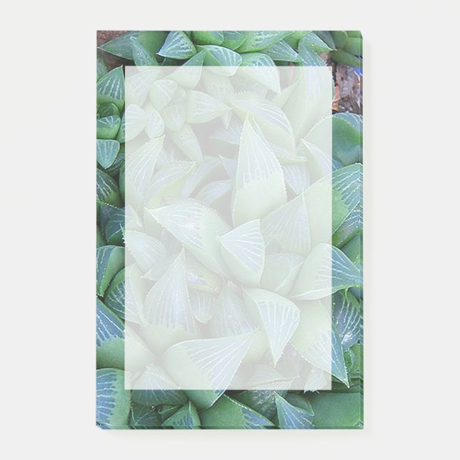 Grüne Haworthia Aufkleber für die Pflanze Post-it Klebezettel (Vorderseite)