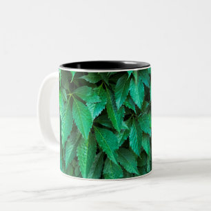 grüne Hecke Hintergrund Parthenocissus Muster Text Zweifarbige Tasse