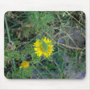 Grüne Heuschrecke auf einer gelben Blume Mousepad
