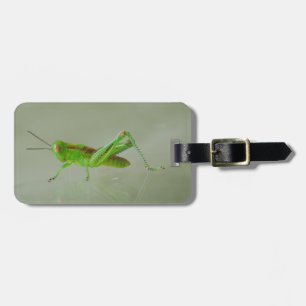 Grüne Heuschrecke Gepäckanhänger