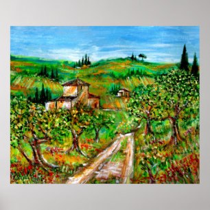 Grüne Hügel und Olivenbäume Landschaft Toskana Poster