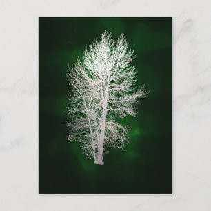 Grüne Imitate-Metallbaum-Postkarte Postkarte